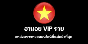 ฮานอย vip รวย